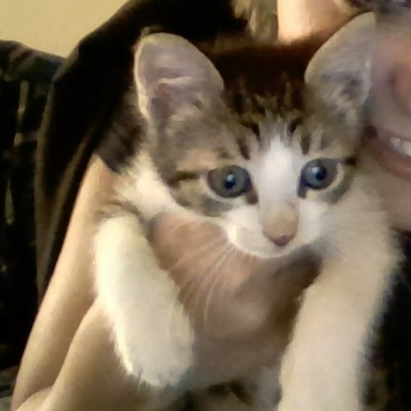 Meet your Posher, Bugg - Picture 1 of 1